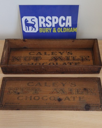 Vintage antique caley - antique, nut