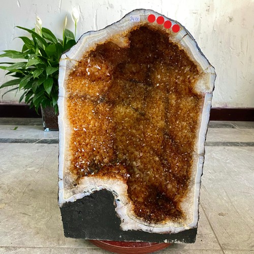 86lb large natural - large,