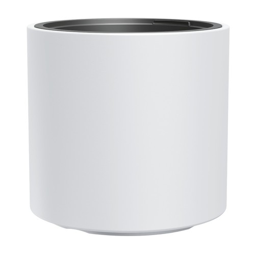 Flower pot plant - flower,