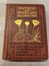 Wayside and Woodland Blossoms