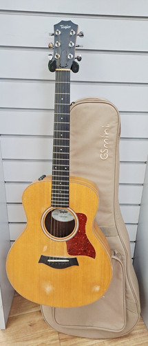 Taylor 2017 mini - 2017,