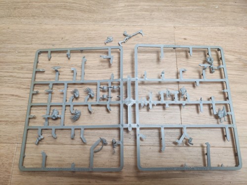 Kroot carnivores tau - sprue, e