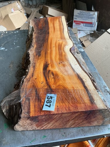 Yew plank wood - wood,yew,