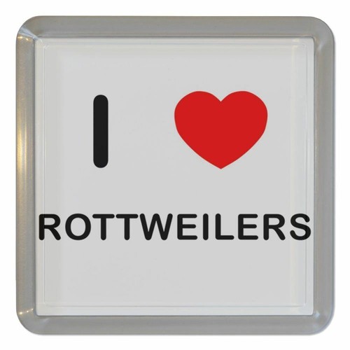 Rottweilers love plastic - rottweilers,