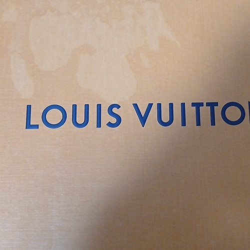 Louis vuitton trainer - louis, lv