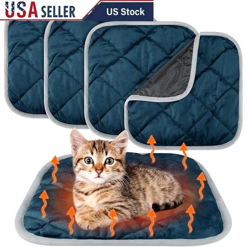 Self heating pet - heating,