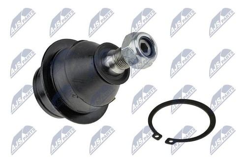 Lower front ball joint - lower,