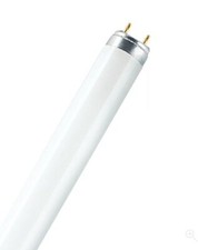 Osram 2ft 18w Lumilux T8