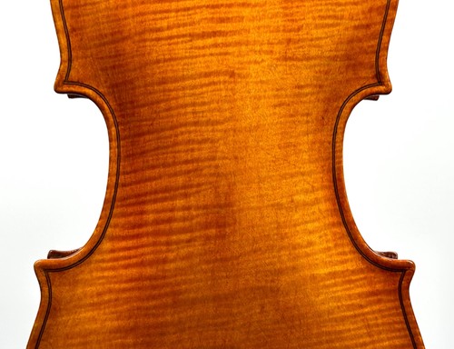 Italian violin naples circa - violin,
