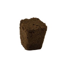 Root riot 16 - riot, –2,4,8.16,