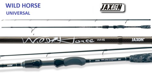 Jaxon wild horse - wild,