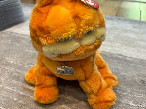 Garfield the cat ty - 10, "