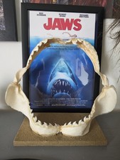 Tiger Shark Taxidermy Jaw Rare