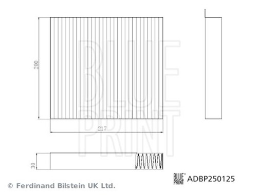 Blue rpint cabin air filter - rpint,