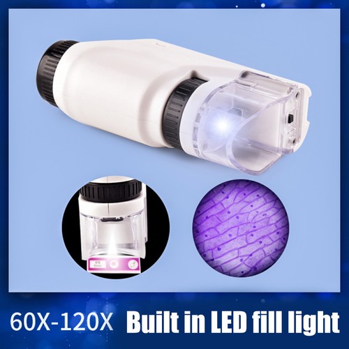 Portable microscope - microscope,