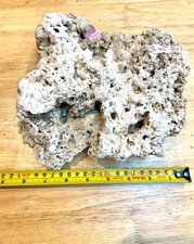 Live Marine Rock - Large Piece - plating