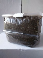  21 lbs.4-5.4lbs bags Horse