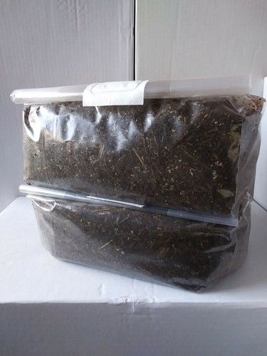 Lbs 4lbs bags - , lbs.4-5.4lbs