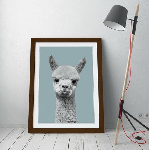 Alpaca duck egg blue - alpaca,