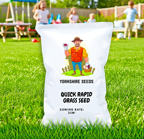 Rapid growing grass - rapid, for