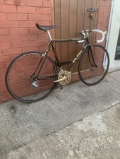 1983 Gold Edition Raleigh