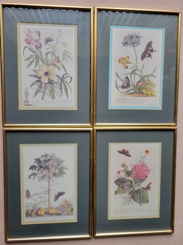 Framed silk botanical prints - silk,