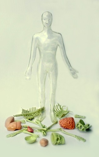 Model human being by - being,