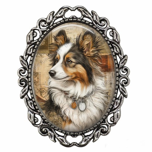 Shetland sheltie dog retro - shetland,