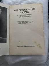 The border fancy canary - the,