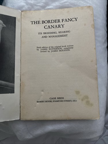 The border fancy canary - the,