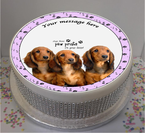 Personalised dachshund puppies - personalised,