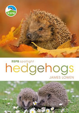 RSPB Spotlight Hedgehogs by Lowen, James Book The Cheap Fast Free Post