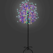 Cherry blossom tree - cherry,