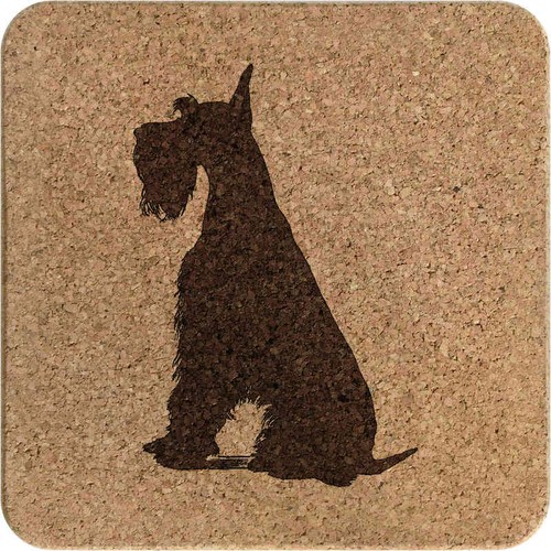 Giant schnauzer sitting - schnauzer,