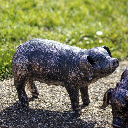 Bronze grazing pig garden - grazing,