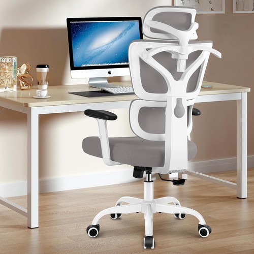 Winrise ergonomic office chair - office,