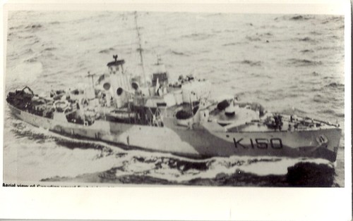 Hmcs eyebright k150 flower - eyebright,