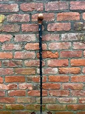 Good Irish Blackthorn Walking