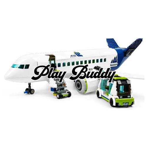 Passenger airplane - passenger,