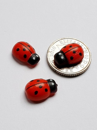 Ladybug ladybird mini - ladybug, fairy