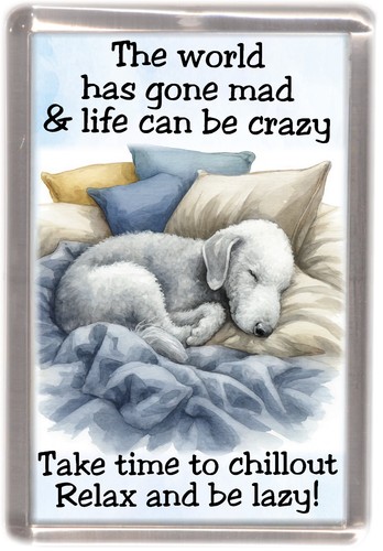 Bedlington terrier dog - terrier, fridge