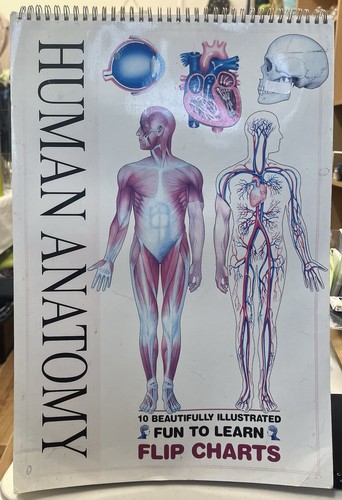 Vintage anatomy flip - anatomy,