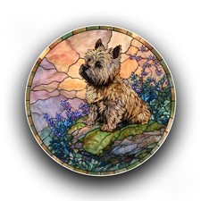 Cairn Terrier Dog Spring