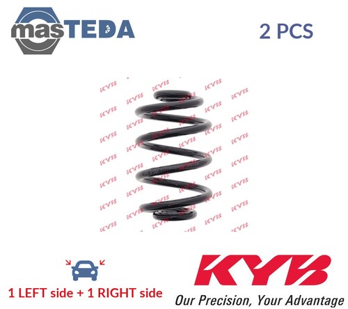 Rx6201 coil spring pair - coil, set