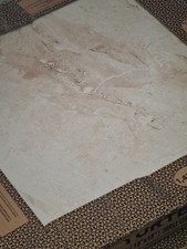 Floor tiles, brand new still in boxes.