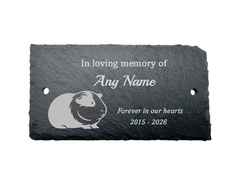 Personalised engraved guinea - personalised,