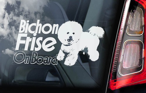 Bichon frise car sticker - bichon,