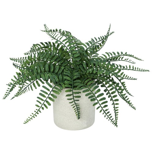 Artificial fern potted plant - fern,
