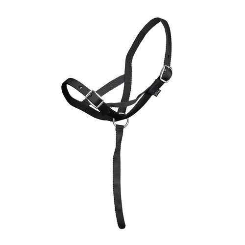 Shires arma nylon - foal,