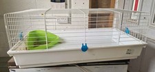 Single Level Indoor Rabbit/ Guinea Pig Hutch House